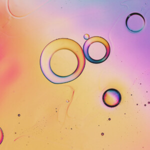 An image depicting an organism under a microscope